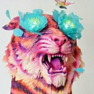 Meet your Posher, Thais